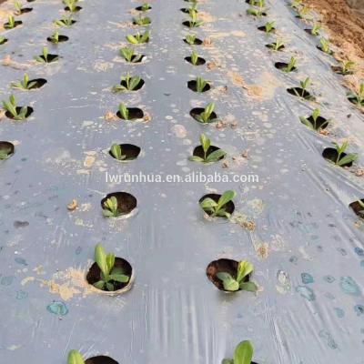 China Vegetable Polyethylene Drip Irrigation Tape With Flat Emitters Inside , Water-saving Hose for sale