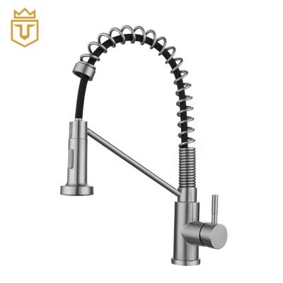 China Modern Modern Flexible Stainless Steel Kitchen Faucet With Pulling Down Sprayer for sale