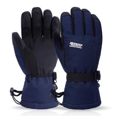 China Men's Ski Gloves Thinsulate Winter Snow Warm Insulated Insulated Windproof Gloves Glove Warm Enthusiast For Skiing for sale