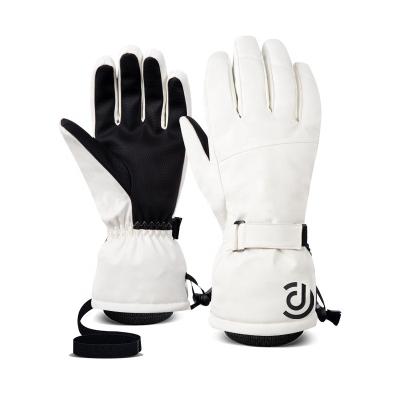 China Wholesale Winter Non-slip Waterproof Snow Touch Screen Women And Men Ski Gloves Warm Passionate Gloves for sale