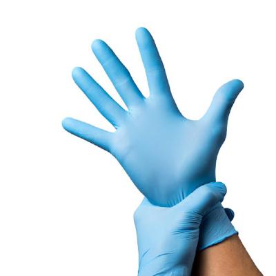 China Comfortable Multiple Situations Use Layout To Powder Free Nitrile Examination Gloves Price for sale