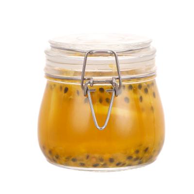 China 500ml Food Snap Honey Jam Jar Kitchen Storage Glass Jar With Glass Lid for sale