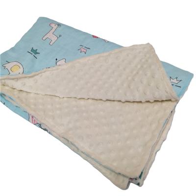 China American Style Washable Comfy Minky Blanket Customized Size for sale