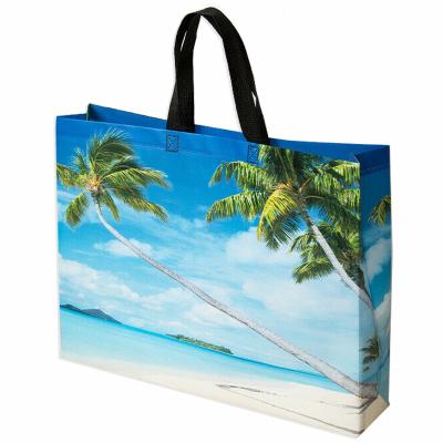 China Durable Hot Selling Non Woven Carry Bags Wholesale Price Custom Printed Logo Laminated Polypropylene Tote Bags for sale