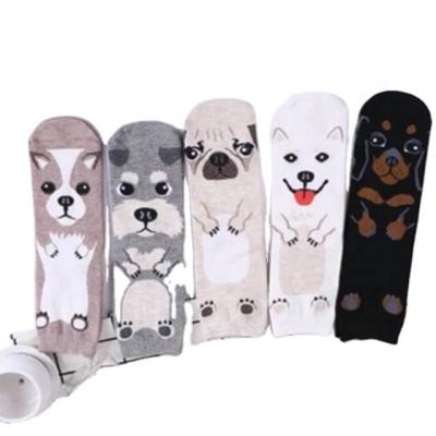 China Antibacterial 5 Pairs Women's Cute Animal Socks Colorful Funny Cotton Crew Socks for sale