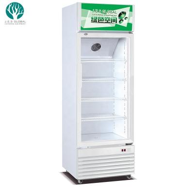 China Hot Upright Glass Door Cooler Glass Door Cooler Beverage Cooler Commercial Factory Sale Display Refrigerator 690X640X2040 for sale