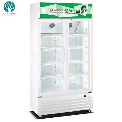 China Commercial Displayed 2 Glass Door Refrigerator / Fridge For Supermarket For Hotel , Restaurant Showcase Cooler 1290X740X2170 for sale