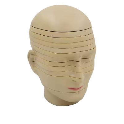 China horizontal section of brain nerve function medical brain tomography 12-slice head anatomical model for sale