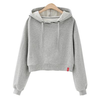 China Wholesale Loose Organic Anti-pilling Blank Hoodie and Hoodie Leisure Sweatshirts for sale