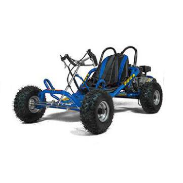 China Gasoline go kart 196CC powered gokarts / gocart 13*5-6 brushless motor for sale