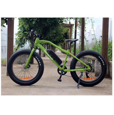 China Luxury Fat Tire Bike Electric Bicycle 250w Ebike 36v E-Bike Mountain Cycling for sale