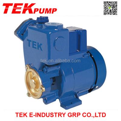 China Punping GP250 Water GP Self-priming Peripheral Pump Automatic Water Pump for sale