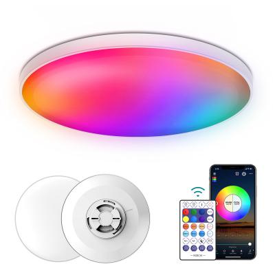 China Dimmable New Design Ceiling Light Indoor Lighting LED Panel Mount 30W Panel RGB Smart Flush Mount Ceiling Light for sale