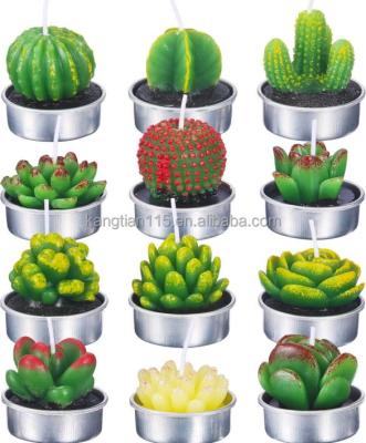 China Colorful Flame 12 Pcs Cactus Tealight Candles Handmade Delicate Succulent Cactus Candles for sale