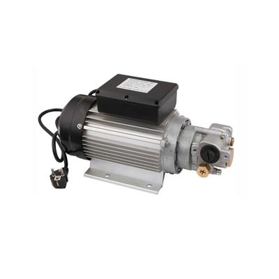 China AC220V Automotive Industry Gear Pumps Fueil Diesel Engine Oil Transfer Pumps for sale