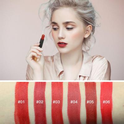 China New Design Logo Private Label Lipstick Waterproof Custom Vegan Cruelty Free Cheap Lipsticks for sale