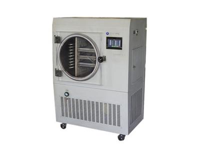 China Vakuumnahrungsmittelfrost-Trockner des Lyophilisator-2.5kw 380V 10Pa zu verkaufen