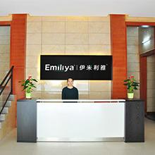 Verified China supplier - Dongguan Emiliya Electrical Appliances Co., Ltd.