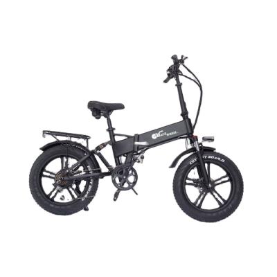 China Fat e bike standard electric bike 750W hydraulic brake for adult electric bicycle for sale