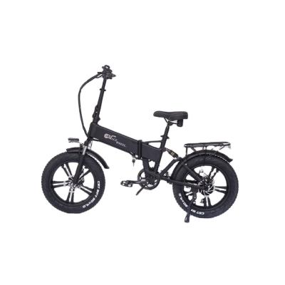 China Standard Electric Fat Tire Electric Bikes Electric Bike 750W 48V Lithium Battery Electric Bike RX20 for sale