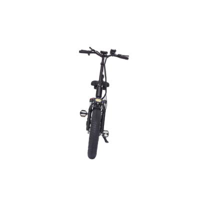 China Standard Bicycle 750W Electric Bike Mountain Fat Tire Bike For Adult for sale