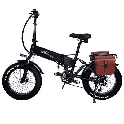 China Standard Hydraulic Disc Brake Mountain Bike 750W Electric Bike Folding E Bike For Adult for sale