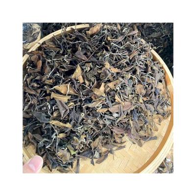 China Chinese White Tea Manufacturers Best White Tea Brands Cheap Price Organic Loose Fuding White Tea for sale