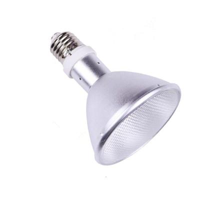 China Reptile Plant 35W Light Fixture UVA UVB PAR30 E27 Flood UV Lamp Bulb For Reptiles for sale