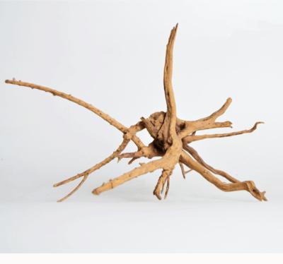 China Sustainable Wholesale Azalea Woods Shape Tree Aquarium Decor Driftwood Sculpture for sale