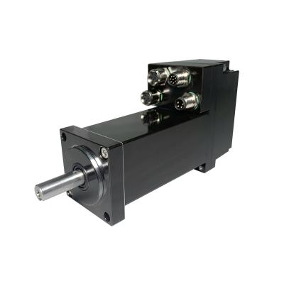 China 100W Drip Proof 40mm 3000rpm Integrated Servo Motor Low Voltage Servo Motor With Driver Kit And Brake for sale