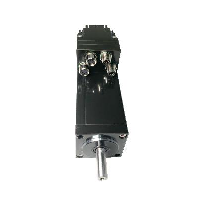 China 100W Integrated Servo Motor Low Voltage Drip Proof Servo Motor With Driver Kit And Brake for sale