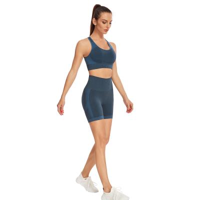 China Ins Breathable New Seamless Woemn Knit Suit Women's Sports Short Sleeve Shorts Yoga Suit for sale