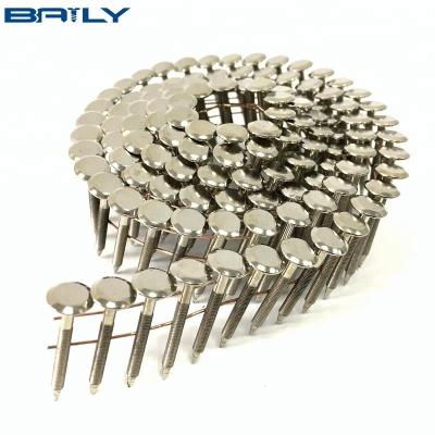 China Chinese factory cheap price 304 stainless steel flat coil roofing nails for sale