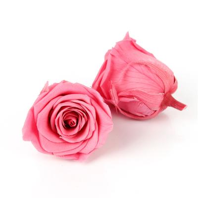 China El AAA califica 100 rosas eternas del tacto real de los colores los 4-5cm para la decoración de la boda del partido en venta