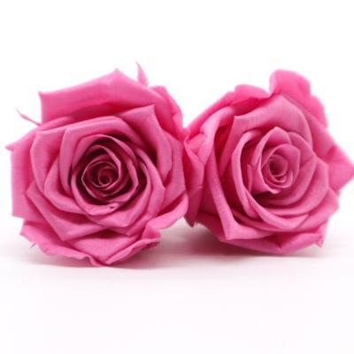 China DIY Pink Preserved Rose Heads Pretty Appearance Keeping Everlasting Memory for sale