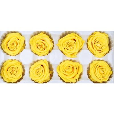 China Decorative Preserved Flower Heads , Beautiful Rose Flower Heads Multiple Color for sale