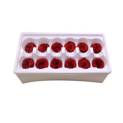 Китай Preserved austin rose flower rose head Valentines wedding ladies gift продается