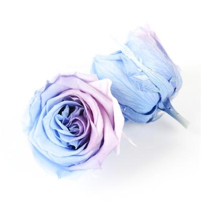 China los 4-5cm preservaron el color magnífico de la flor de las cabezas de Rose fácil haciendo juego otros colores en venta