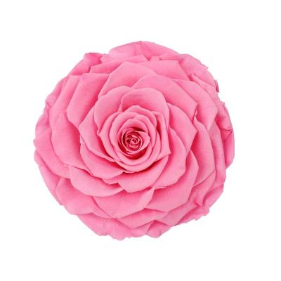 China Decorative Preserved Rose Heads Maintain Natural Beauty & Colour For A Long Time for sale