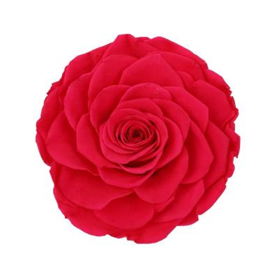 China Home Decor Preserved Rose Heads Creative Household Decorative Furnishings for sale