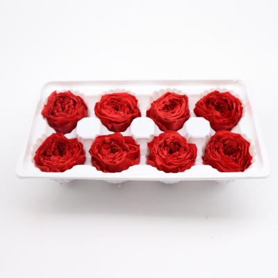 Chine Le dôme préservé durable de Rose, luxe de 4-5cm a préservé des roses dans Austin à vendre