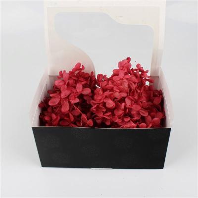 Chine Hortensia préservé éternel 3-5 ans de fleur de couleur multi de la vie pour la cérémonie à vendre