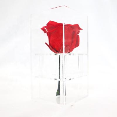 China Decorative Beautiful Preserved Rose Flower With No Pollen / No Allergy for sale