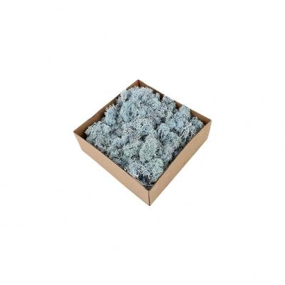 China Valentine Gift Preserved Natural Moss estabilizado en caja en venta