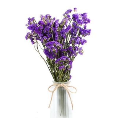 Chine La fleur pourpre brillamment colorée de Limonium m'oublient pas pour la décoration à vendre