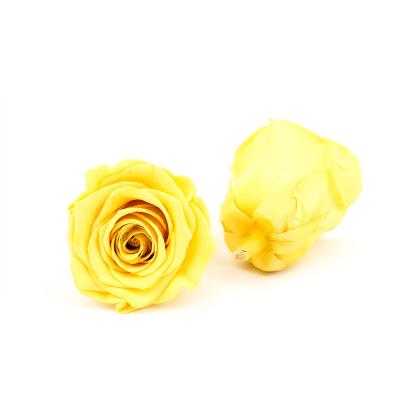 Cina Il diametro immortale 5-6cm ha conservato Rose Flower For Mothers Day in vendita