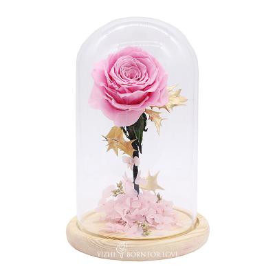 China Huisdecor Kleurrijke Bewaarde Rose In een Glaskoepel 7cm8cm Te koop