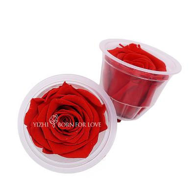 China 5-6cm Preserved Rose Heads For Home Decoration for sale