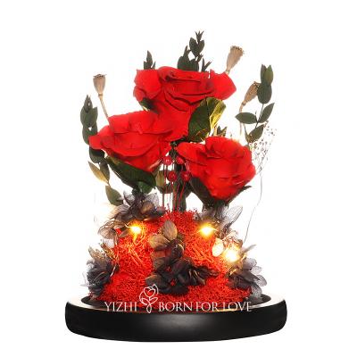 China Deluxe 3 Rose Glass Shaded Eternal Rose Box For Your Loved One On Valentines Day for sale