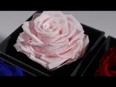 The idea behind YIZHI preserved rose is to keep the love, friendship and romantic forever.